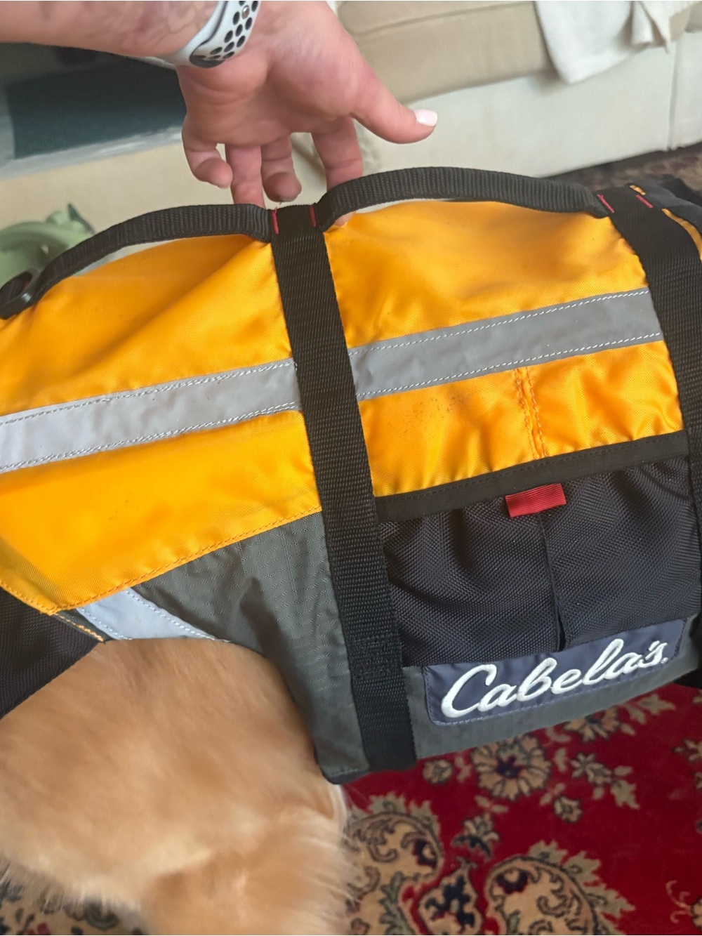 Cabela's Orange and Black High-Visibility Safety Vest for dogs - Picture 4 of 5